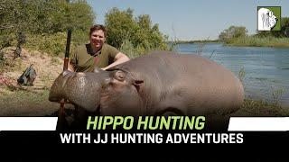 Hippo Hunting in Kawango West with JJ Hunting Adventures