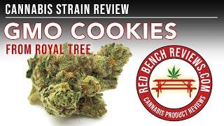 Royal Tree | GMO Cookies Strain Review | 33.77% THC!