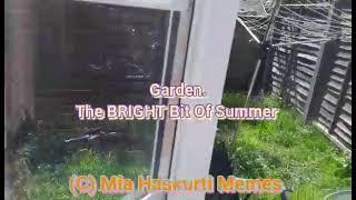 The BRIGHT Bit Of Summer. Mia Haskurti Memes.