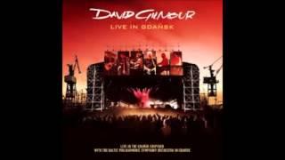 Echoes-Live In Gdansk- David Gilmour