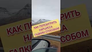 Как Перехитрить Нарцисса ЕГО же Гадким Способом? #нарциссизм #отношенияснарциссом #манипуляции