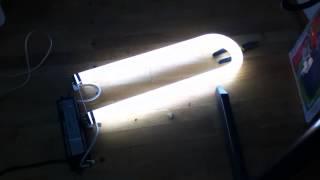 Philips T12 34W Fluorescent "U" Tube Running on T8 32W ballast.