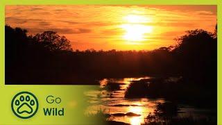 Rivers - Africa's Wild Wonders - Go Wild