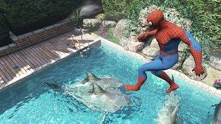 GTA 5 Water Ragdolls | SPIDERMAN Jumps/Fails #19 (Euphoria physics | Funny Moments)