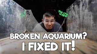 Restoring a broken Aquarium - I did it!