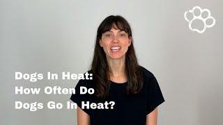 Female Dog Heat Cycles: How Often Do Female Dogs Go In Heat?