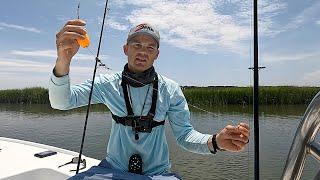 Simple rig to catch everything inshore Charleston sc Fishing