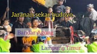 jaranan, sekar budoyo,Bandar Agung Lampung Timur
