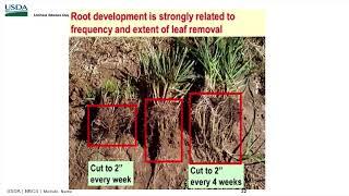 Grazing Management to Improve Soil Health