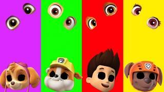 Wrong eyes challenge DAME TU COSITA Paw Patrol Funny Puzzle Wrong Heads