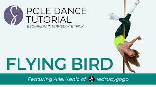 Pole Trick Tutorial: Flying Bird (Beginner/Intermediate Trick)