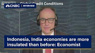 Indonesia's and India's economies are 'more insulated than before' to global risks, economist says