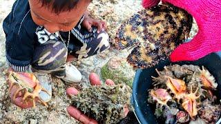 Mencari aneka Seafood bersama Bocil, kami menemukan Gurita, Kepiting langkah dan banyak kerang