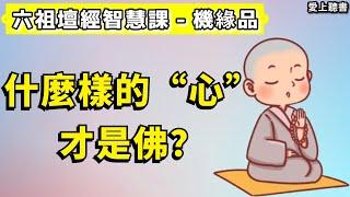 讀書-六祖壇經智慧課-機緣品/不識字也能覺悟成佛？  #知識#學習#工作#有聲書#聽書#讀書