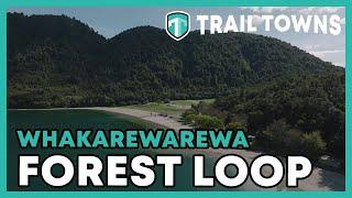 Whakarewarewa Forest Loop | Rotorua