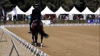 Philippe Limousin à la Grande Semaine de Dressage de Saumur