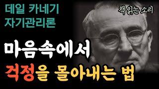 걱정을 없애고 오늘을 충실히 살아가자!/데일카네기 자기관리론/현대지성/오디오북,책리뷰,책읽어주는여자,건강정보,장수,노화방지,불면증,불안,치매,고혈압,운동