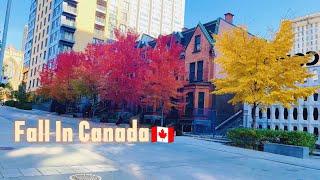 My First Fall in Canada  || Montreal || Create Bank Account || International student 