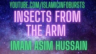 Insects From The Arm! | MUST WATCH | Imam Asim Hussain ᴴᴰ