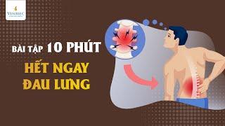 Bài tập 10 phút hết ngay đau lưng