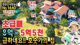 (초급매) 정말 급하네요 2억 5천을 내립니다 호숫가 바로 앞 경남 산청 전원주택 매매 급매물 20년간 직접 가꾼 정원과 연못 찜질방 시원한 호수전망 산청부동산 - 발품부동산TV