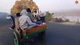 तीन झोटो की बेहतरीन रेस \\ chaudhary nagla kabir (mzn) !! Jhota race #trending