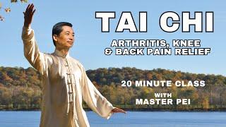 Tai Chi for Beginners | Arthritis, Knee & Back Pain Relief