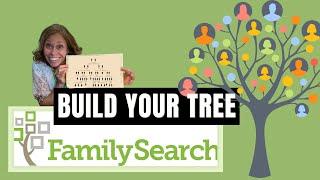 How to Build Your Tree on Family Search (FREE)