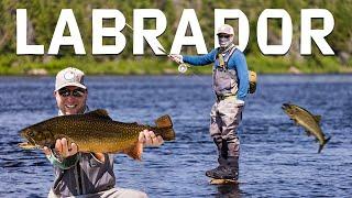 Fly Fishing For Trout in the Remote Labrador Wilderness (Crook's Lake Lodge)