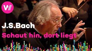 Schaut hin, dort liegt im finstern Stall | J.S. Bach - Christmas Oratorio (Collegium Vocale Gent)