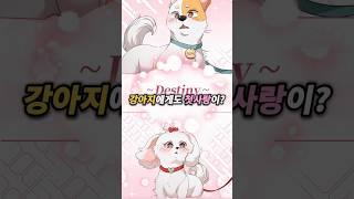 첫눈에 반한 강아지들의 행동