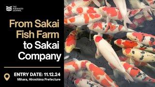 How My Auction Plan at Sakai Fish Farm Paid Off | The Nishikigoi Journal | EP #066