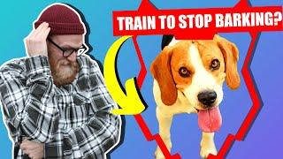 How To Stop Your BEAGLE Barking