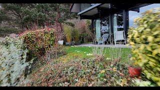 Betafpv Pavo Femto dji O4 in the garden (4k, stabilisation steadyrock)