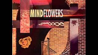 Mindflowers - "Red Spider" (2002)