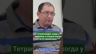 Хромосомные аномалии у плода. Рассказывает врач акушер-гинеколог, к.м.н., Игорь Иванович Гузов.