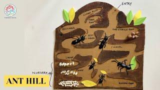 ANT HILL | ANT HILL CRAFT