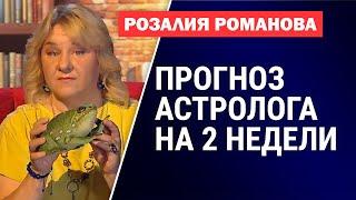 Астрологический прогноз: чего нельзя делать в ближайшие 2 недели?