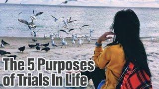 THE 5 PURPOSES OF TRIALS IN LIFE