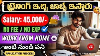 100% Work From Home Jobs | Latest jobs in Telugu HYD | Best Online Part time WFH Jobs in telugu