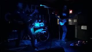 sky pig - larva live