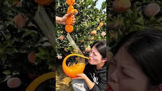 OMG #realfruit #fruitcultivation #fruiting #fruitfarming #farming #fruitworld #fruitgrowing