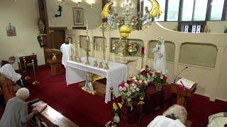Daily Readings and Homily - 2025-05-31 - Fr. John Paul