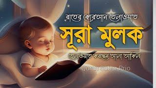 রাতের কুরআন তেলাওয়াত সূরা মুলক (سوره الملك) অত্যন্ত দরদী কন্ঠের তেলাওয়াত। Recited  by Alaa Aqel.