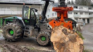 Wf-trac 2865 mit Biojack 300E am Baum abtragen