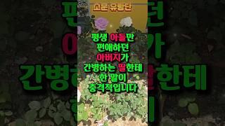 평생 아들과 차별 받고 자란 딸에게 아프니 병간호 해달라더니 하는 말이 충격적! #가족갈등 #부모편애 #간병 #상속문제 #출가외인 #시댁사연 #가족이야기 #사이다 #현실조언
