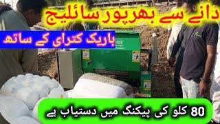 How to silage pack in pakistan /silage baler machine/#shahmuqeemcattlefarm #silage2023 #farming