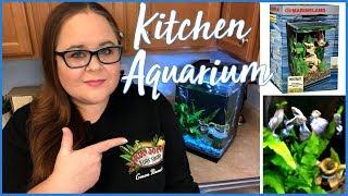 Fancy Guppy Kitchen Fish Tank - 5 Gallon, Low Maintenance Aquarium