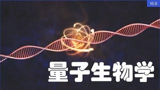 量子生物学：最新研究综述