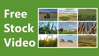 Agriculture Stock Video | 2020